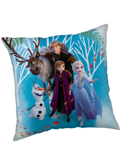 Disney Frozen Coussin décoratif Famille 40 x 40 cm Polyester