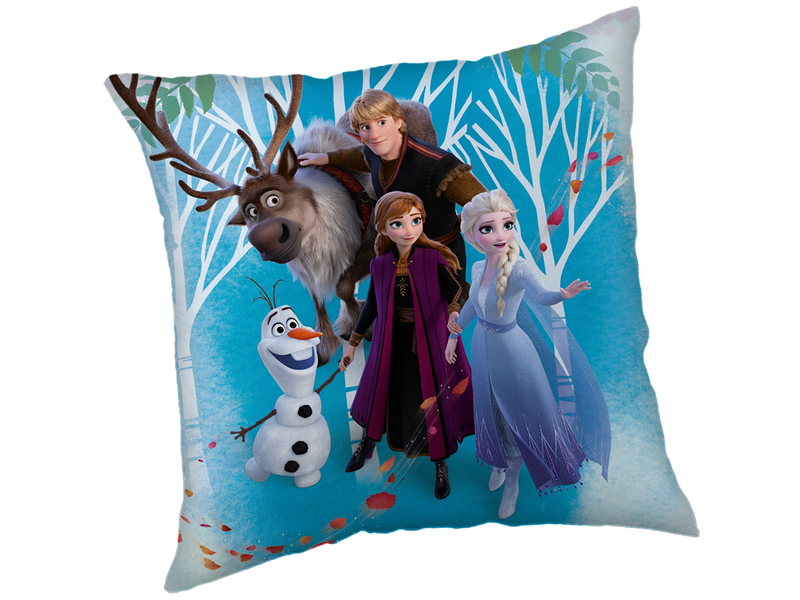 Disney Frozen Coussin décoratif Famille - 40 x 40 cm - Polyester