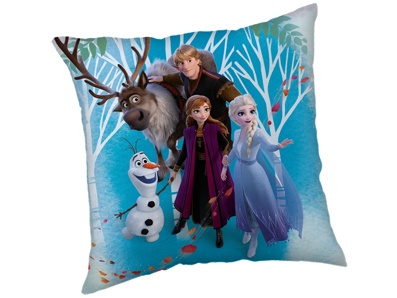 Disney Frozen Decorative cushion Family - 40 x 40 cm - Polyester