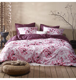 De Witte Lietaer Bettbezug Coral, Corsage – 240 x 220 – Baumwollperkal