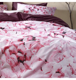 De Witte Lietaer Bettbezug Coral, Corsage – 240 x 220 – Baumwollperkal