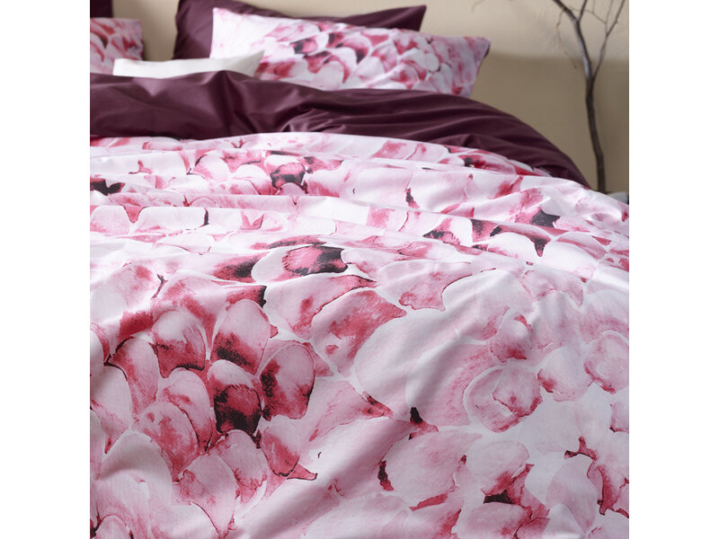 De Witte Lietaer Bettbezug Coral, Corsage – 240 x 220 – Baumwollperkal