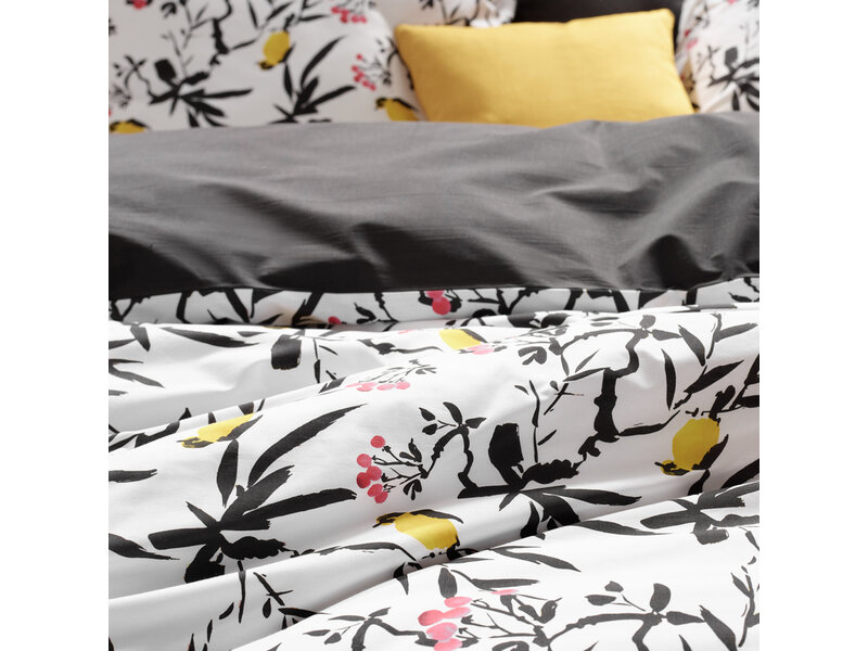 De Witte Lietaer Duvet cover Aiko, Black Stroke - 260 x 240 - Cotton Percale