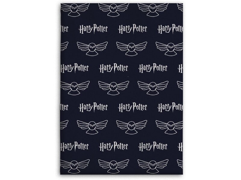 Harry Potter Fleece plaid, Owl - 180 x 200 cm - Polyester