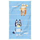 Serviette de plage Duo 70 x 120 cm Coton