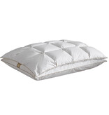 De Witte Lietaer Bilancia Ergonomisches Kissen - 40 x 60 cm - Entendaunen