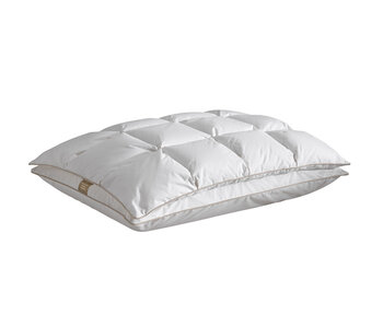 De Witte Lietaer Ergonomic Pillow Bilancia 40 x 60 cm Duck Down