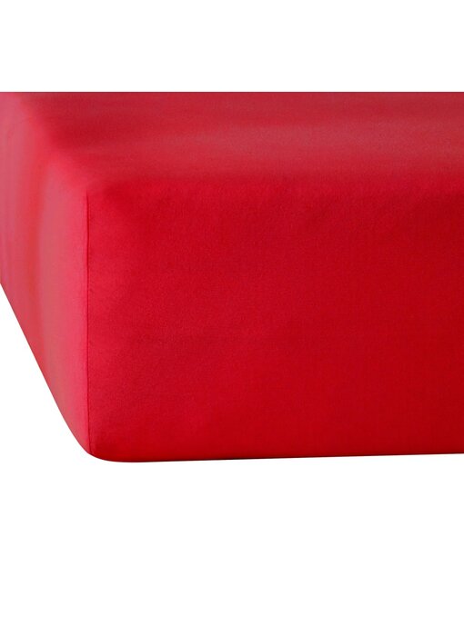 De Witte Lietaer Drap-housse Elena Rouge Foncé 140 x 200/220 Jersey de Coton