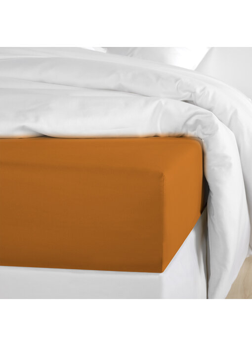 De Witte Lietaer Drap-housse Olivia Copper 160 x 200/220 cm en satin de coton