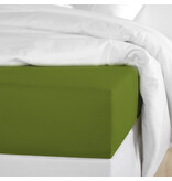 De Witte Lietaer Drap-housse Olivia Cactus - 90 x 200/220 x h 30 - Satin de coton