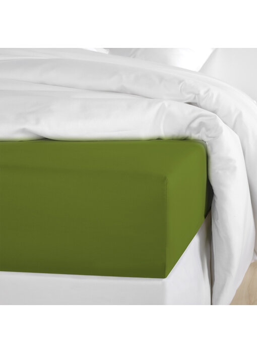 De Witte Lietaer Fitted sheet Olivia Cactus 90 x 200/220 Cotton Satin