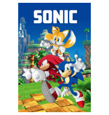 Sonic Fleecedecke Teamwork – 100 x 150 cm – Polyester