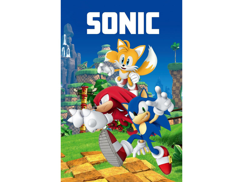 Sonic Couverture polaire Teamwork - 100 x 150 cm - Polyester