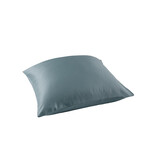 De Witte Lietaer Taie d'oreiller Olivia Arctic - 63 x 63 cm - Satin de coton