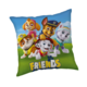 Sierkussen Friends 40 x 40 cm Polyester