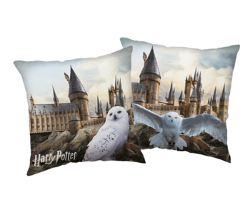 Harry Potter Decorative cushion Hedwig 40 x 40 cm Polyester
