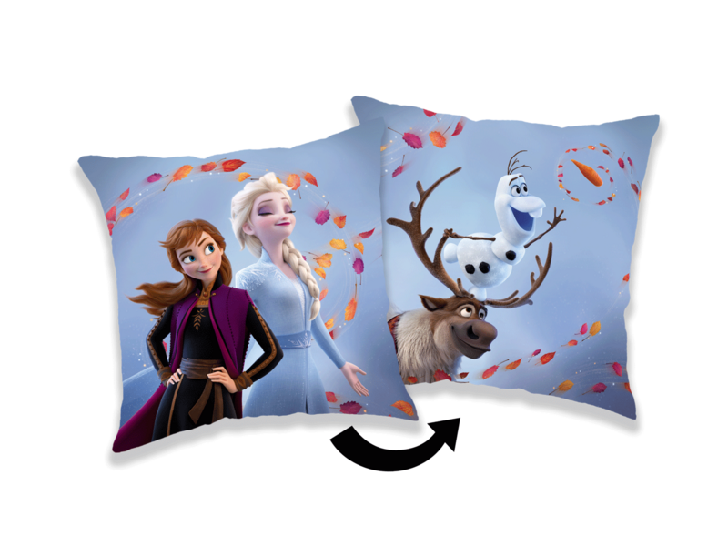 Disney Frozen Coussin décoratif Wind - 40 x 40 cm - Polyester