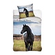 Bettbezug Schwarzes Pferd – 140 x 200 cm – 60 x 70 cm – Baumwolle
