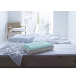 De Witte Lietaer Ergonomisch hoofdkussen Alaska - 40 x 60 cm - Traagschuim