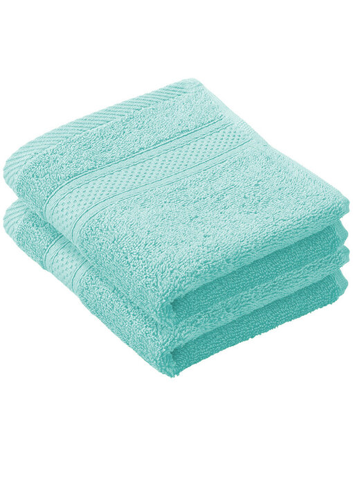 De Witte Lietaer Lot de 2 serviettes d'invités Stephanie Plume 30 x 50 cm en coton