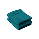 Guest towel Stephanie Lake Green Set of 2 30 x 50 cm Cotton