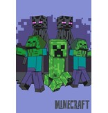Minecraft Fleece deken Zombie - 100 x 150 cm - Polyester