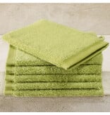 De Witte Lietaer Contessa Pistachio Washcloths - 6 pieces - 16 x 21 cm - Green - Cotton