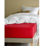 Moodit Alina Uni Deep Red Fitted Sheet - 180 x 200/220 cm - Cotton Jersey