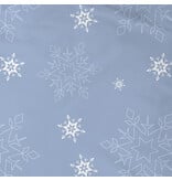 Disney Frozen Housse de couette La Reine des Neiges - 140 x 200 + 63 x 63 cm - Coton