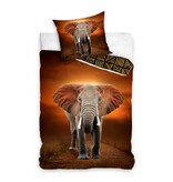 Dreamee Bettbezug – Elefant – Einzelbett – 140 x 200 + 70 x 90 cm – Baumwolle