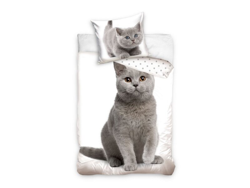 Dreamee Bettbezug – Katze – Einzelbett – 140 x 200 + 65 x 65 cm – Baumwolle