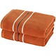 Ensemble de serviettes Empress Bronze (2 pièces) 50 x 100 cm Coton