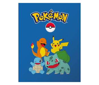 Pokémon Plaid Polar Team Battle 110x140cm