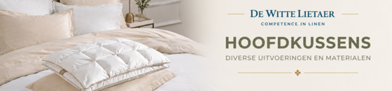 Pillows & Pillows