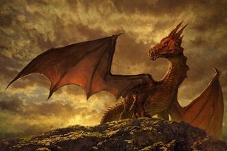 Draak