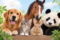 Animal Pictures