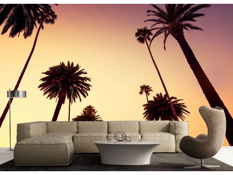 Fotobehang Californie Palm arbres fond d'écran