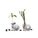 Deluxe Botanopia Cadeauset Deluxe Botanopia Cadeauset
