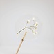 PETSON Sweets Lolly | Gipskruid PETSON Sweets Lolly | Gipskruid