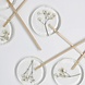 PETSON Sweets Lolly | Gipskruid PETSON Sweets Lolly | Gipskruid