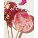 PETSON Sweets Lolly | Piony rose PETSON Sweets Lolly | Piony rose