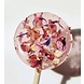 PETSON Sweets Lolly | Rose mix PETSON Sweets Lolly | Rose mix