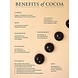 Chocolat Essentiel Wellness Chocolade | Ginger - Vitaliteit, spijsvertering en immuniteit Chocolat Essentiel Wellness Chocolade | Ginger - Vitaliteit, spijsvertering en immuniteit