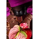 My Jewellery MOOD armband met roze stenen My Jewellery MOOD armband met roze stenen