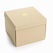 Suck UK Sprekende cadeaubox Suck UK Sprekende cadeaubox