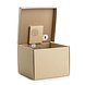 Suck UK Sprekende cadeaubox Suck UK Sprekende cadeaubox