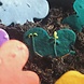 niko niko Throw and Grow confetti - mixed colors niko niko Throw and Grow confetti - mixed colors