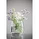 niko niko Send and Grow postcard - Let it grow niko niko Send and Grow postcard - Let it grow