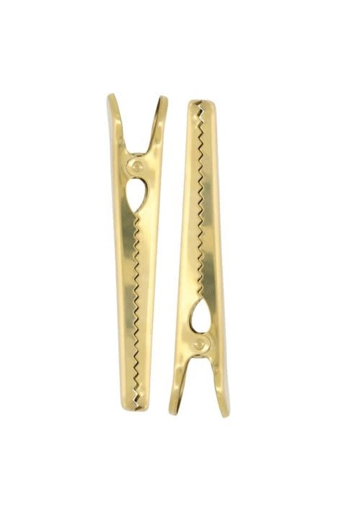 Zusss Set van 2 metalen clips goud