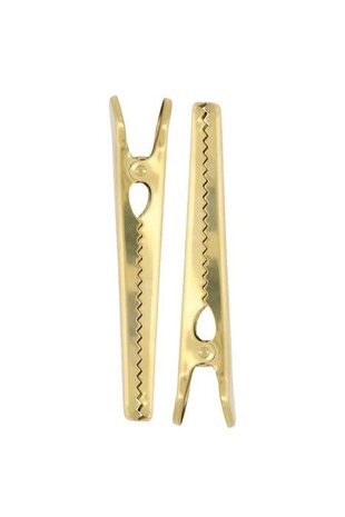 Zusss Set van 2 metalen clips goud